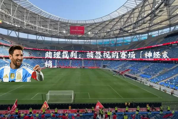 助理裁判:被忽视的赛场「神经末梢」